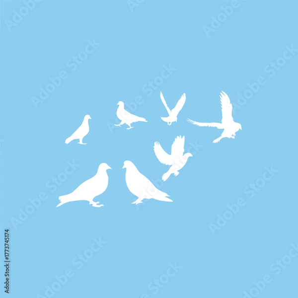 Obraz Flower with bloack