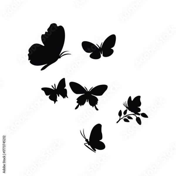 Obraz Butterfly silhouette 
