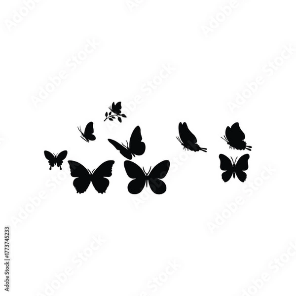 Obraz Butterfly silhouette 