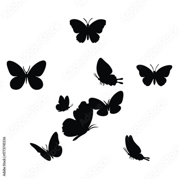 Obraz Butterfly silhouette 