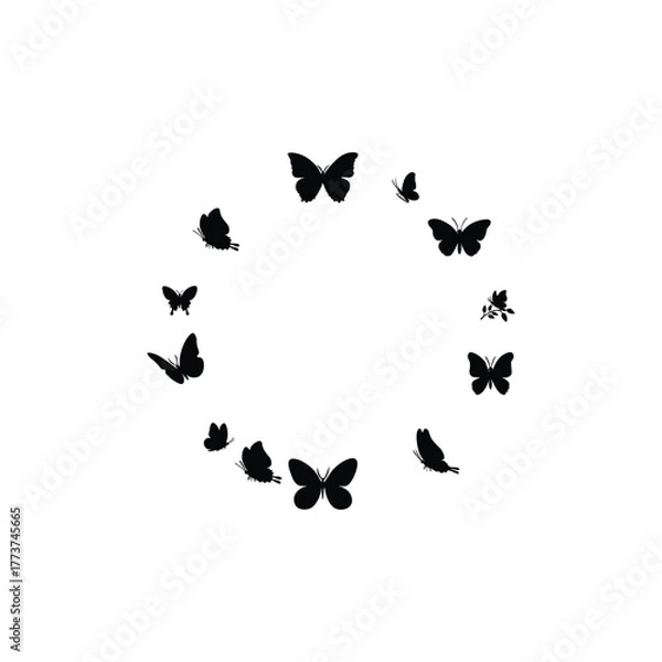 Obraz Butterfly silhouette 