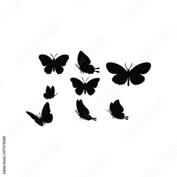 Obraz Butterfly silhouette 