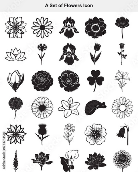 Fototapeta Elegant Floral Icon Set Variety of Nature's Bloom Illustrations