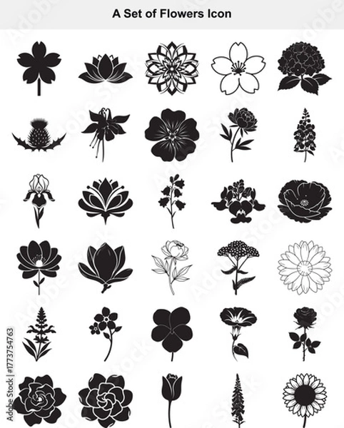 Fototapeta Diverse Collection of Floral Silhouette Icons for Design Projects
