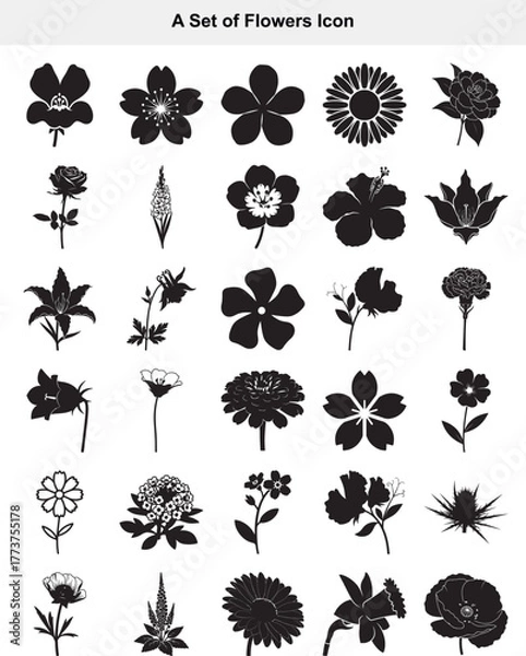 Fototapeta Diverse Botanical Blossom Silhouettes Collection for Graphic Design Projects