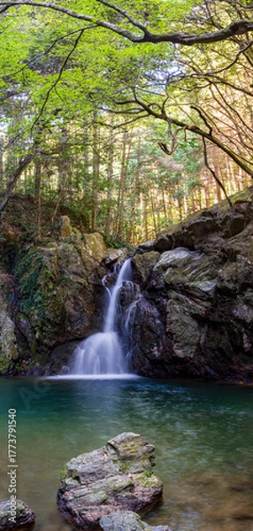 Fototapeta 静岡県浜松市　秋の仙厳の滝　パノラマ
