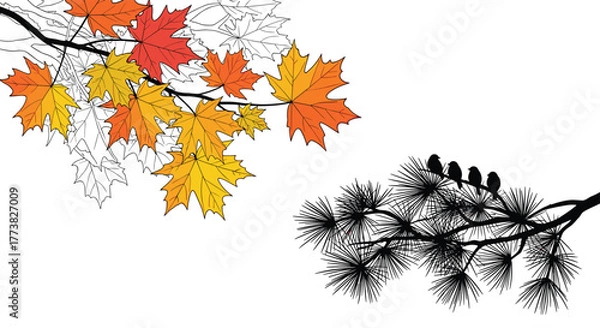 Fototapeta An artistic illustration featuring colorful maple foliage on branches and a stark silhouette of four small birds perched peacefully on a textured pine bough.