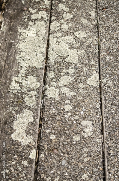 Obraz Old wooden bridge structure and timber