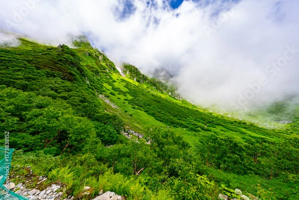 Obraz 8月の千畳敷カールの風景