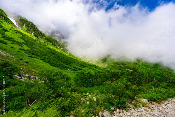 Obraz 8月の千畳敷カールの風景
