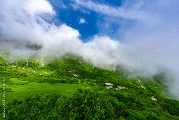 Obraz 8月の千畳敷カールの風景