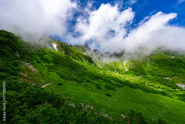 Obraz 8月の千畳敷カールの風景