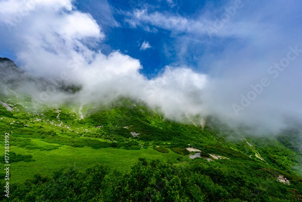 Obraz 8月の千畳敷カールの風景