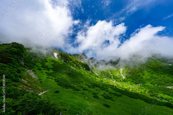 Obraz 8月の千畳敷カールの風景