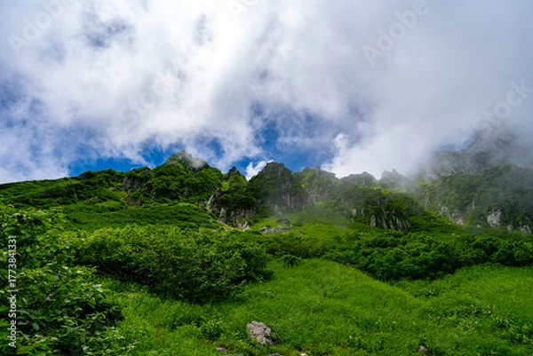 Obraz 8月の千畳敷カールの風景