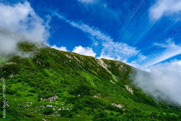 Obraz 8月の千畳敷カールの風景