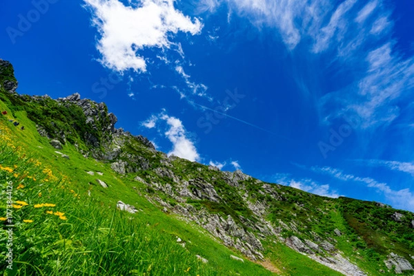 Obraz 8月の千畳敷カールの風景