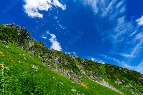Obraz 8月の千畳敷カールの風景