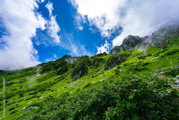 Obraz 8月の千畳敷カールの風景
