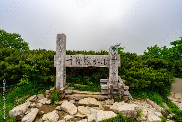 Obraz 8月の千畳敷カールの風景