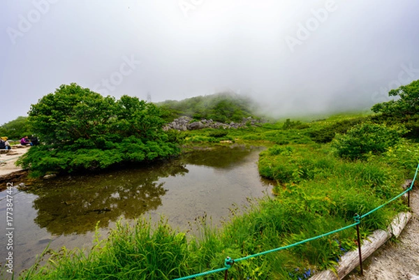 Obraz 8月の千畳敷カールの風景
