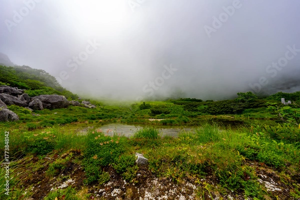 Obraz 8月の千畳敷カールの風景