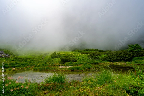 Obraz 8月の千畳敷カールの風景