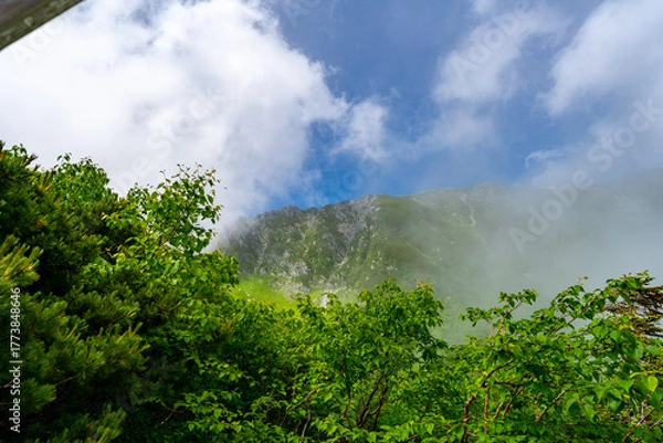 Obraz 8月の千畳敷カールの風景