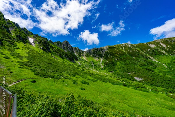 Obraz 8月の千畳敷カールの風景