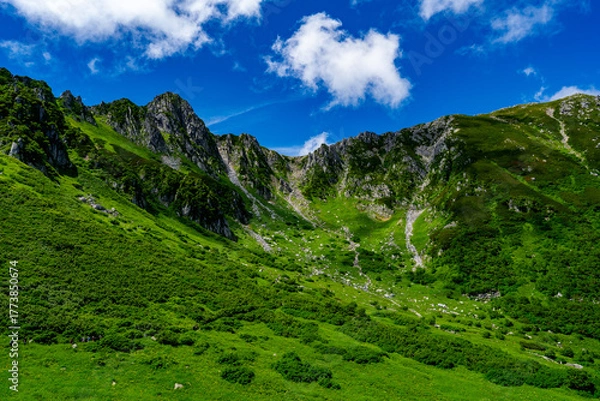Obraz 8月の千畳敷カールの風景