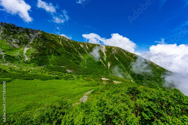 Obraz 8月の千畳敷カールの風景