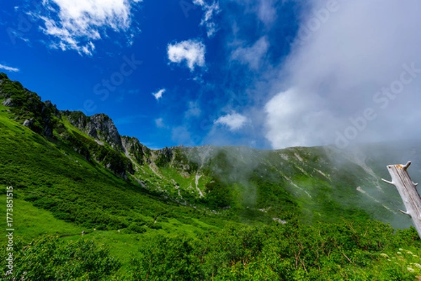 Obraz 8月の千畳敷カールの風景