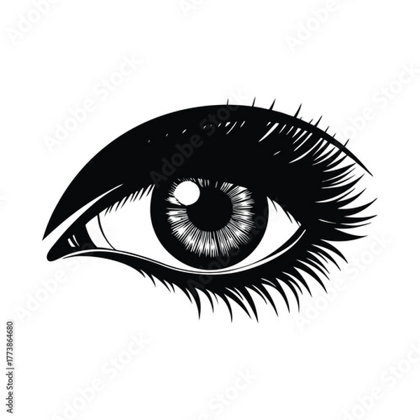Obraz Black and white illustration of a human eye with detailed iris and lashes pupil eyelash