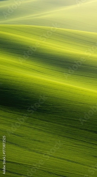 Fototapeta Gently undulating green hills bathed in soft sunlight, creating a tranquil and picturesque natural landscape with a serene, expansive view ,idyllic ,green ,slope