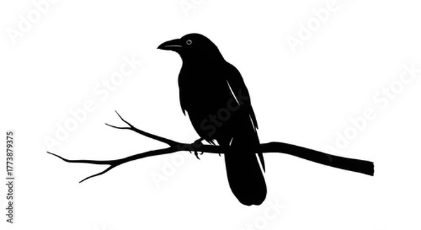 Obraz Mysterious raven perched on branch, evoking folklore and nature's beauty, perfect for Halloween designs, gothic art, or wildlife projects with a timeless appeal