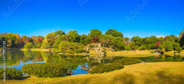 Fototapeta Panoramic view of a traditional Japanese garden with colorful autumn trees reflecting in a pond (Rikugien Garden, Tokyo, Japan)