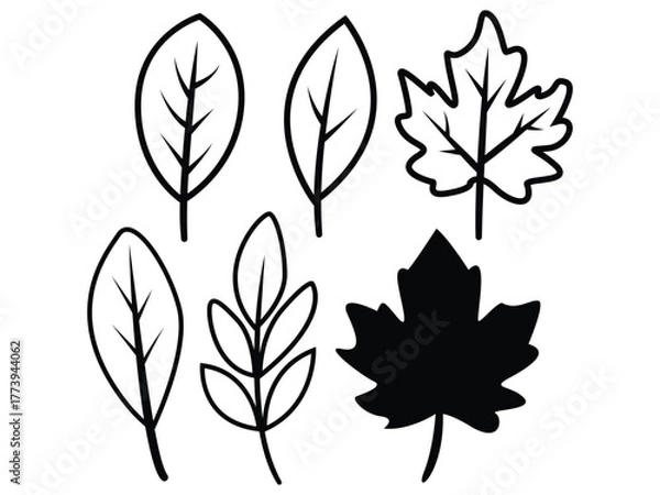 Fototapeta Autumn Leaf Silhouette Vector Set. Minimal Line Art Leaves