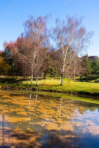 Obraz Beautiful Park located in Reno during Autumn in Northern Nevada with reflections in still water of a pond