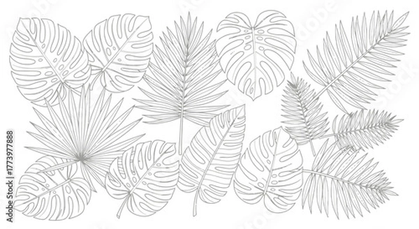 Obraz Elegant Tropical Leaves Outline Illustration for Botanical Designs, Coloring Pages, and Summer-themed Creative Projects and artistic illustrations