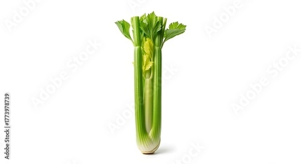 Fototapeta Fresh Green Celery Stalk Isolated on White Background