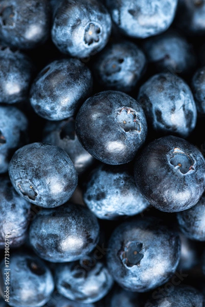 Fototapeta Blueberries as a background, vertical orientation. Web banner, screen