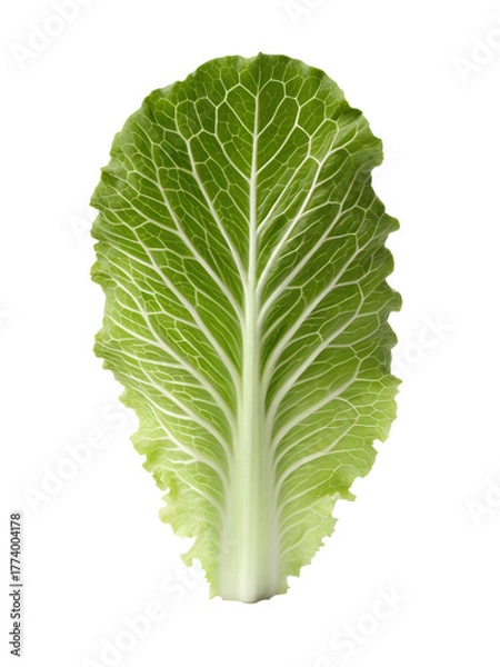 Fototapeta lettuce isolated on transparent white background clipping path