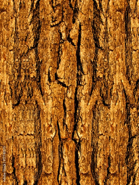 Obraz Bark  tree
