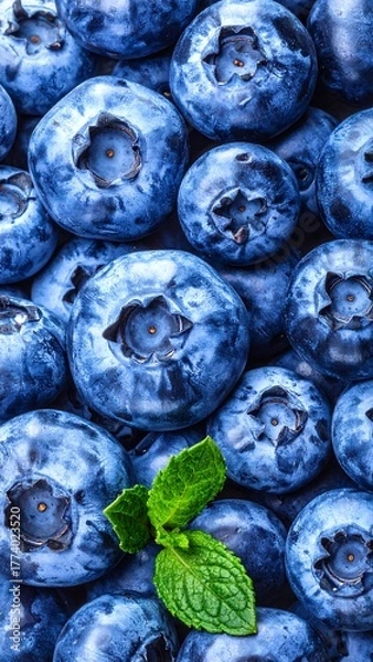 Obraz A close-up of fresh, ripe blueberries filling the frame, accented by a sprig of mint