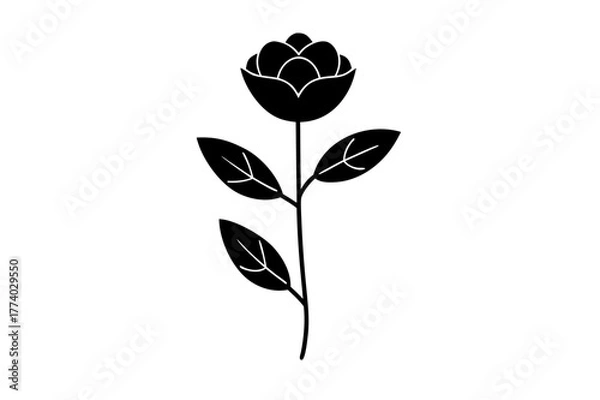 Obraz Black and white vector illustration of a rose flower with leaf and blossom design element