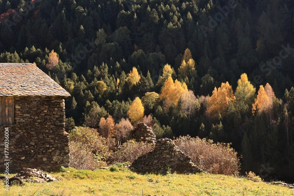 Obraz old barn in the mountains