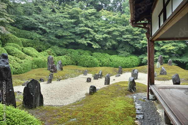 Obraz 京都　雨の日本庭園