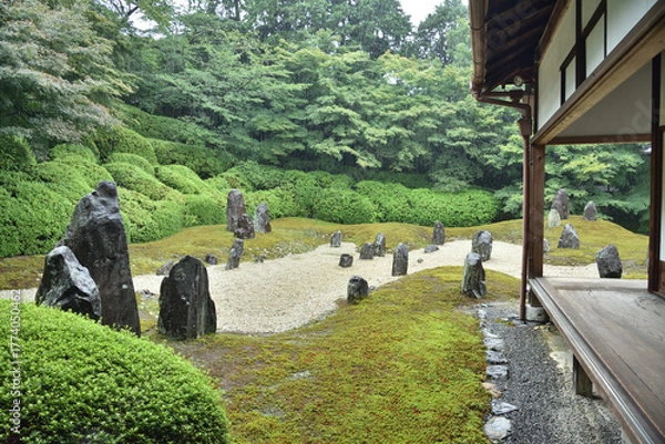 Obraz 京都　雨の日本庭園