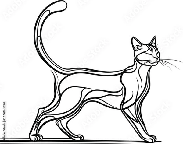 Obraz Stretching cat silhouette line art, dynamic curve line, white background, simple anatomy outline, continuous-line style 2
