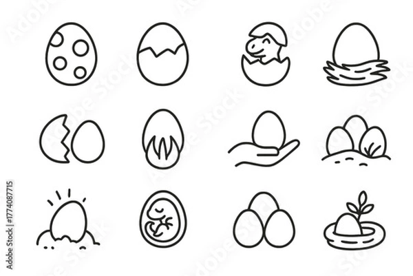 Fototapeta Dinosaur Egg Icons. Line style icons of dinosaur eggs in round shape: spotted egg, cracked egg, baby dinosaur emerging, egg nest;